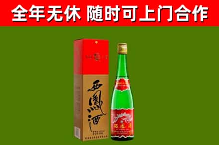 津南烟酒回收西凤酒绿瓶.jpg